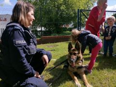 większy obrazek nr 9