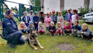 większy obrazek nr 16