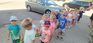 większy obrazek nr 7
