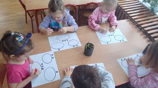 większy obrazek nr 20