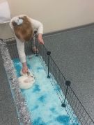 większy obrazek nr 37