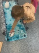 większy obrazek nr 44