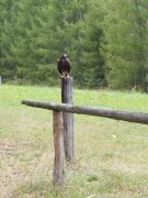 większy obrazek nr 30