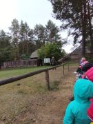 większy obrazek nr 41