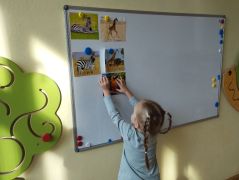 większy obrazek nr 18