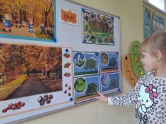 większy obrazek nr 13