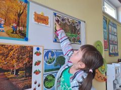 większy obrazek nr 16