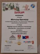większy obrazek nr 2