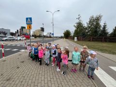 większy obrazek nr 3