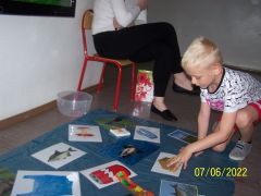większy obrazek nr 12