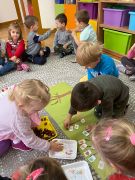większy obrazek nr 11