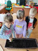 większy obrazek nr 12