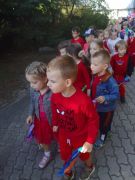 większy obrazek nr 28