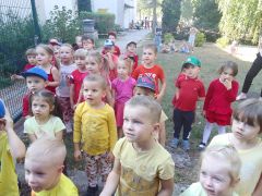 większy obrazek nr 42