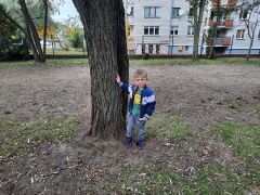 większy obrazek nr 6