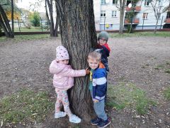większy obrazek nr 9