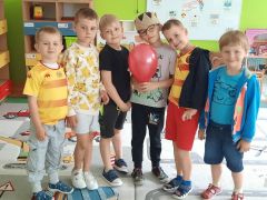 większy obrazek nr 17