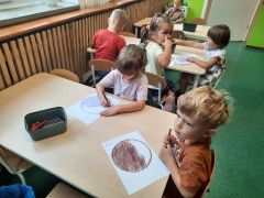 większy obrazek nr 1