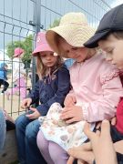 większy obrazek nr 57