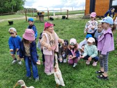 większy obrazek nr 8