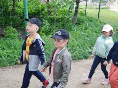 większy obrazek nr 1