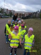 większy obrazek nr 5