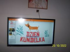 większy obrazek nr 2