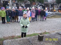 większy obrazek nr 2