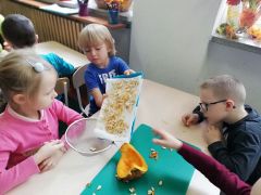 większy obrazek nr 21