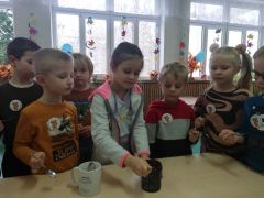większy obrazek nr 12