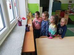 większy obrazek nr 20