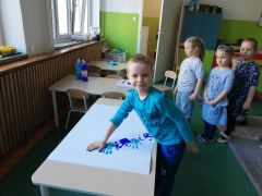 większy obrazek nr 8