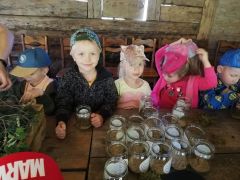 większy obrazek nr 7
