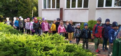 większy obrazek nr 4