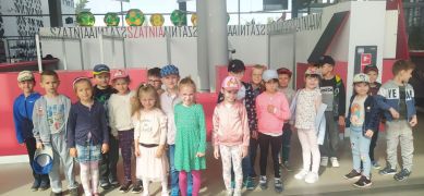 większy obrazek nr 1
