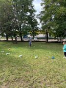 większy obrazek nr 11