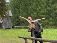 większy obrazek nr 16