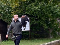 większy obrazek nr 17