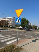 większy obrazek nr 14