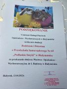 większy obrazek nr 6
