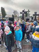 większy obrazek nr 3