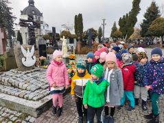 większy obrazek nr 10