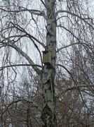 większy obrazek nr 4