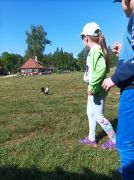 większy obrazek nr 51
