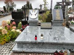 większy obrazek nr 12