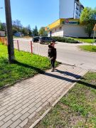 większy obrazek nr 61