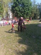 większy obrazek nr 10