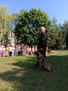 większy obrazek nr 15