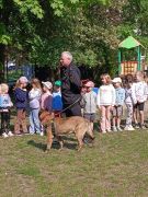 większy obrazek nr 17