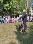 większy obrazek nr 18